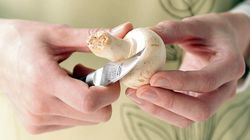 Couteaux, Couteau à éplucher